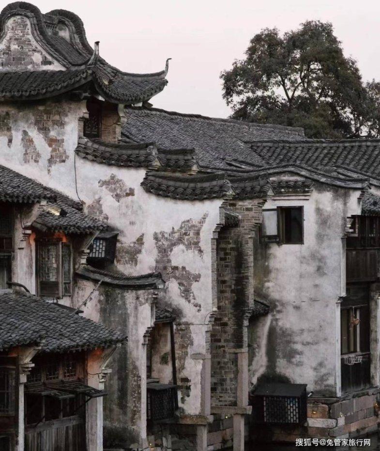 大理一公园养猫替小熊猫“顶岗”？园方澄清：正主藏树上了，猫负责抓老鼠